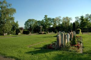 Durch die zurückgehende Anzahl der Erdbestattungen ist die Freifläche auf dem Altenburger Friedhof recht groß. Bild: Hüfner
